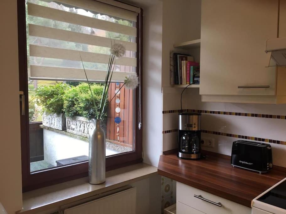 Wohnung Direkt Am Tegernsee Mit Xl-Terrasse Gmund am Tegernsee Eksteriør billede